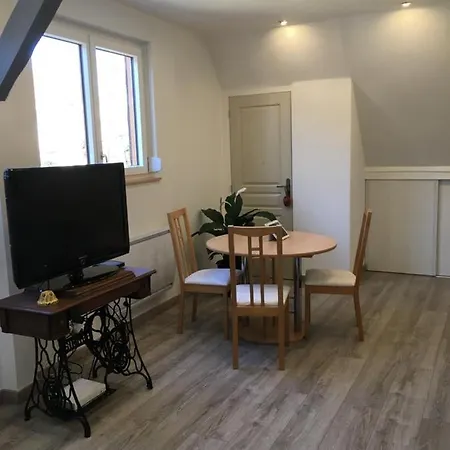 Maison Insolite Alsacienne - Proche De Colmar Et Europapark- Parking Gratuit - 6 Personnes Horbourg
