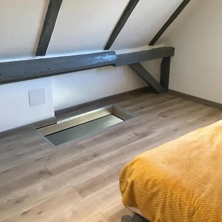 Maison Alsacienne - Proche De Colmar Et Europapark- Parking Gratuit - 6 Personnes Horbourg