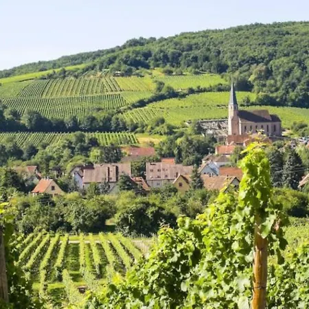 Le Coin Americain - Maison Familiale - Proche De Colmar Et D'europapark Semesterbostad