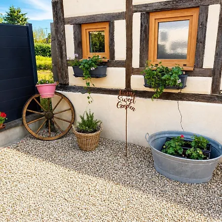 Maison Insolite Alsacienne - Proche De Colmar Et Europapark- Parking Gratuit - 6 Personnes Horbourg